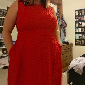 Meera Lane dress: from Dia & Co.